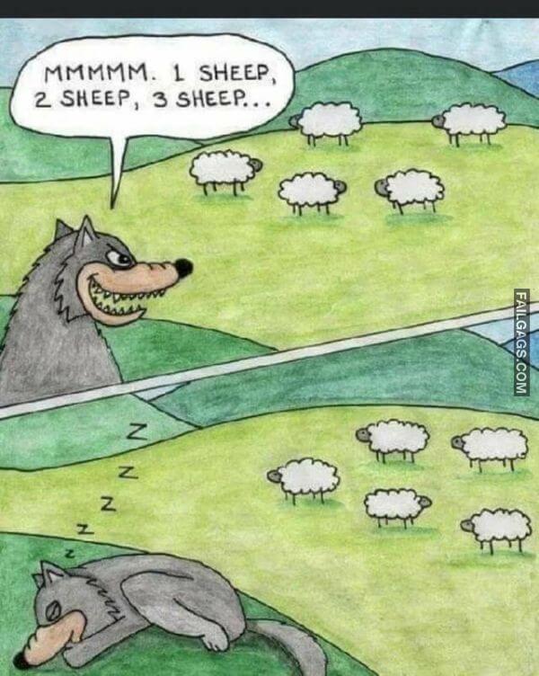 Random Funny Memes 10 1