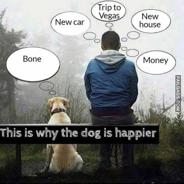 Random Funny Memes 5 8