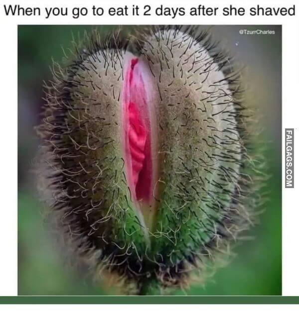 Funny Adult Memes 18 8