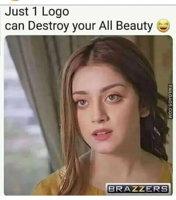 Just 1 Logo Can Destroy Your All Beauty Funny Adult Memes