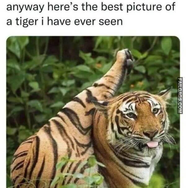 Random Funny Memes 10 5