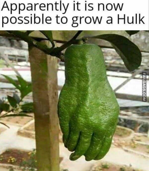 Random Funny Memes 10 6