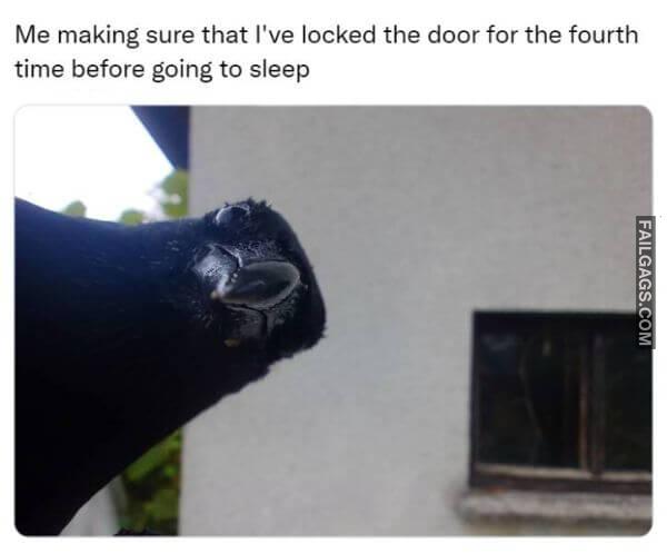 Random Funny Memes 11 10