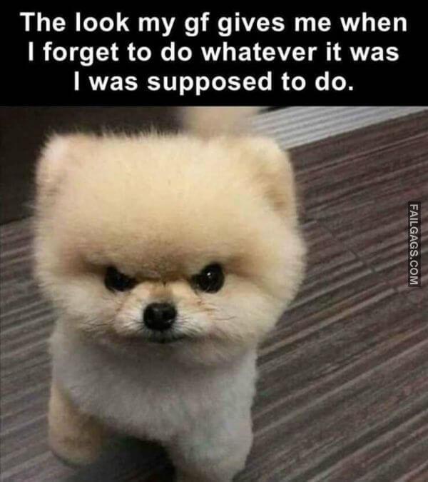 Random Funny Memes 14