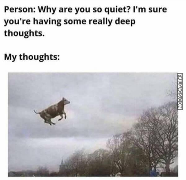 Random Funny Memes 2 8