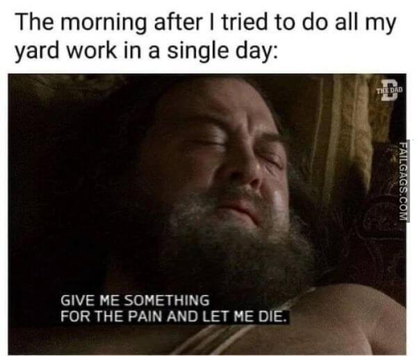 Random Funny Memes 4 12