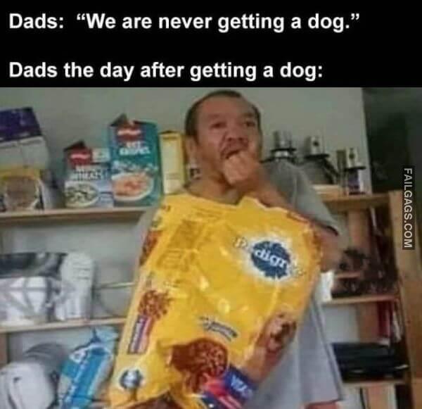 Random Funny Memes 4 2