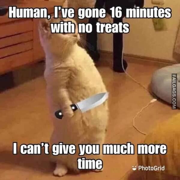 Random Funny Memes 5 1