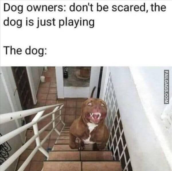 Random Funny Memes 8 1