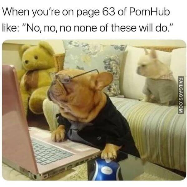 When Youre on Page 63 of Pornhub Like No No No None of These Will Do. Funny Adult Memes