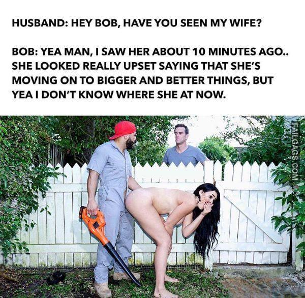 Hey Bob Have You Seen My Wife