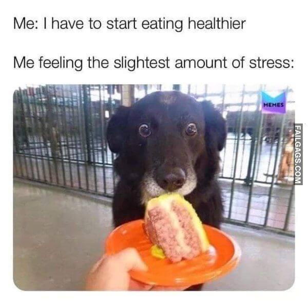 Random Funny Memes 11 9