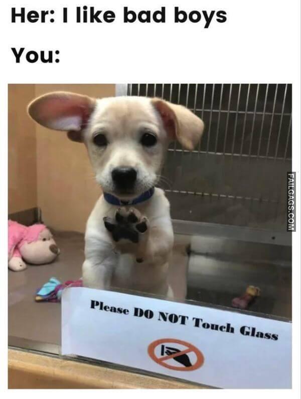 Random Funny Memes 11