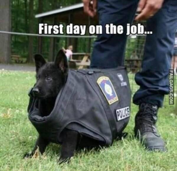 Random Funny Memes 12 3