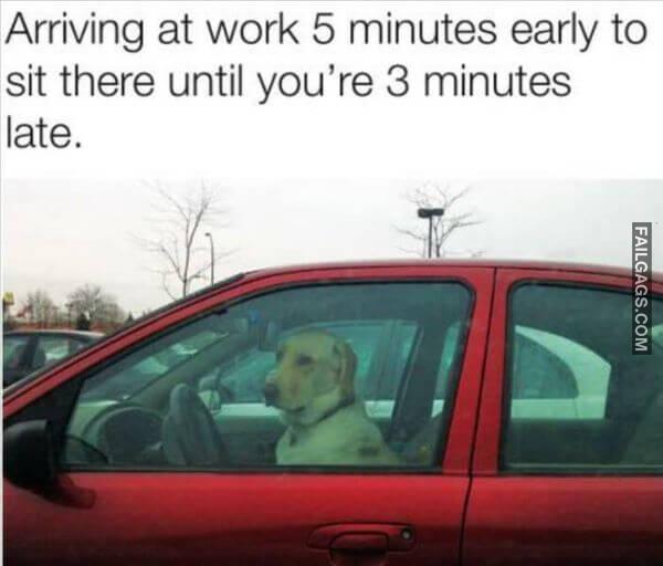 Random Funny Memes 12 5