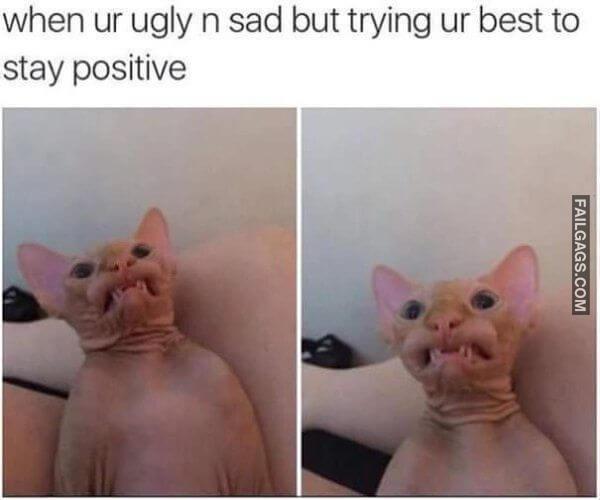 Random Funny Memes 12 8