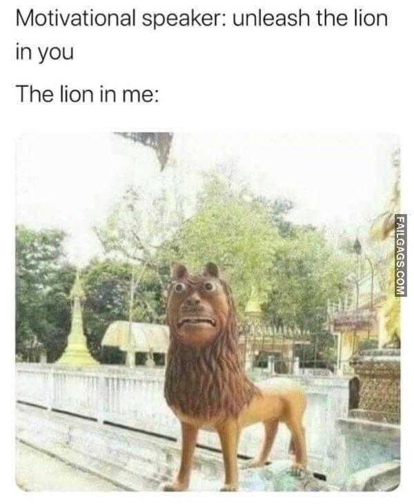 Random Funny Memes 13 1