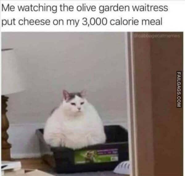 Random Funny Memes 13