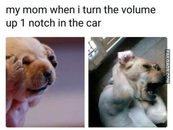 Random Funny Memes 14 8