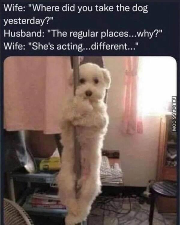 Random Funny Memes 2 17