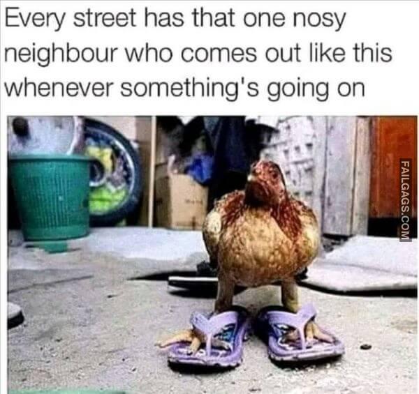 Random Funny Memes 3 9