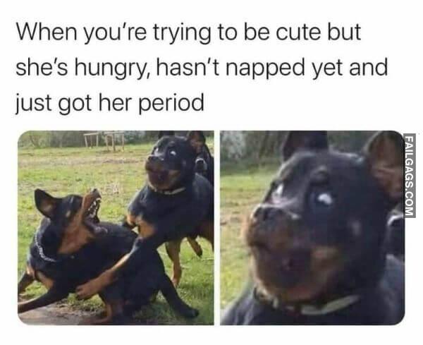 Random Funny Memes 5 13