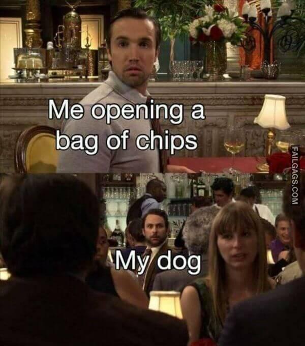 Random Funny Memes 5 15