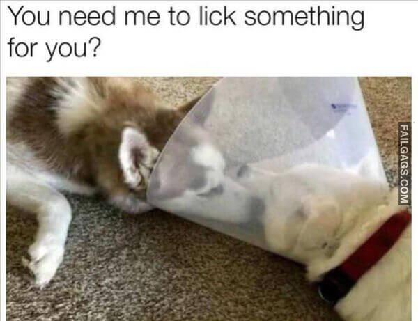 Random Funny Memes 5 17