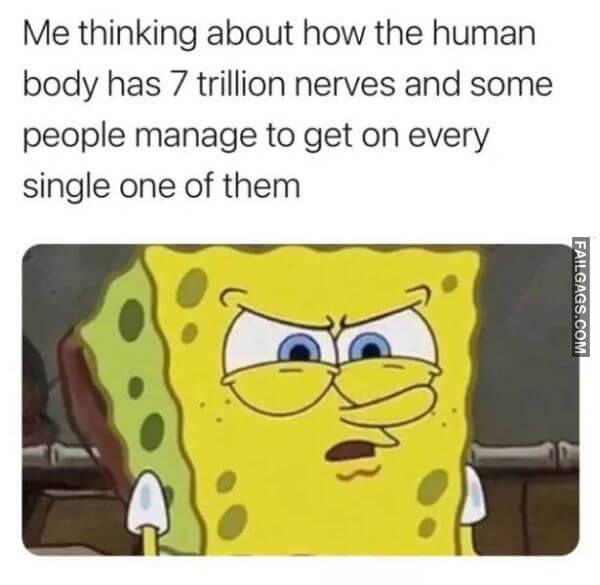 Random Funny Memes 7 6