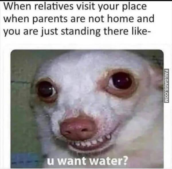 Random Funny Memes 8 5