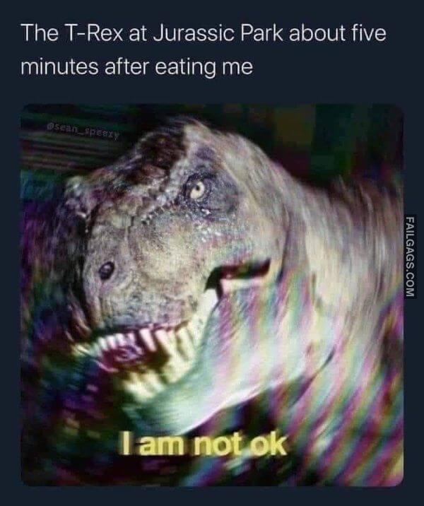 Random Funny Memes 9 10