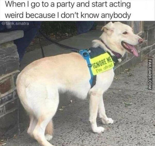 Random Funny Memes 9 7