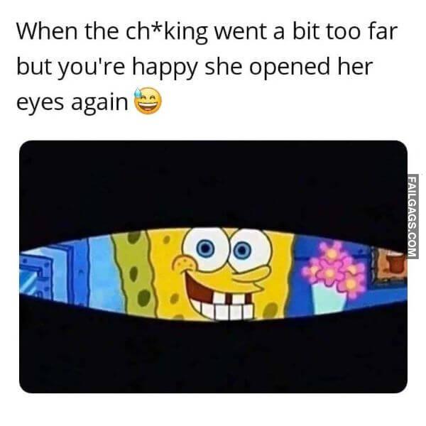 Funny Adult Memes for Non adult Minds 2