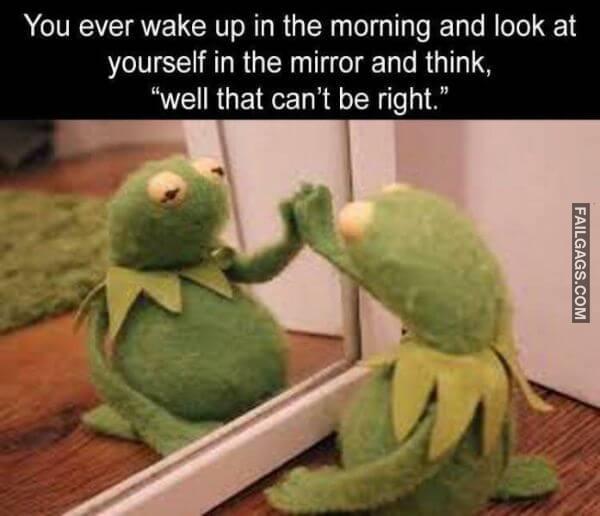 Random Funny Memes 2 2