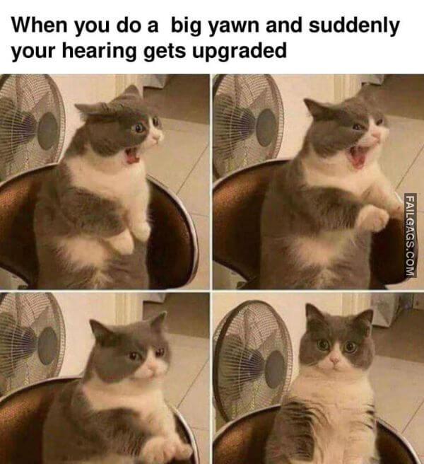 Random Funny Memes 3 5