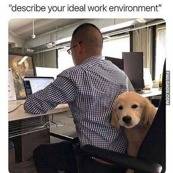 Random Funny Memes 4 1