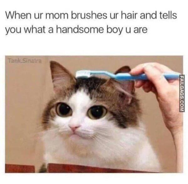 Random Funny Memes 6 4