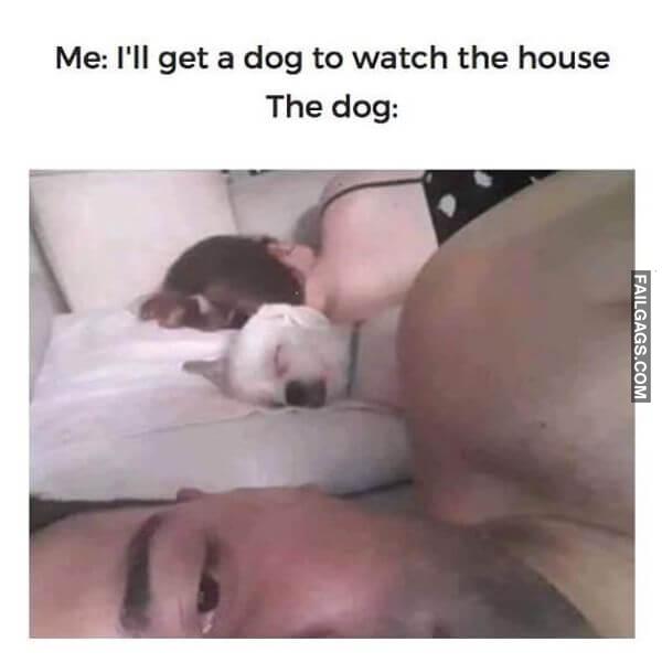 Random Funny Memes 7 1