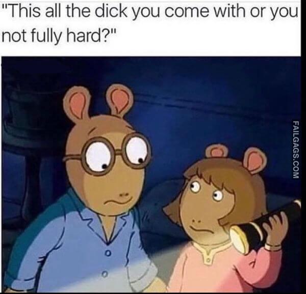 This All the Dick You Come With or You Not Fully Hard Funny Adult Memes