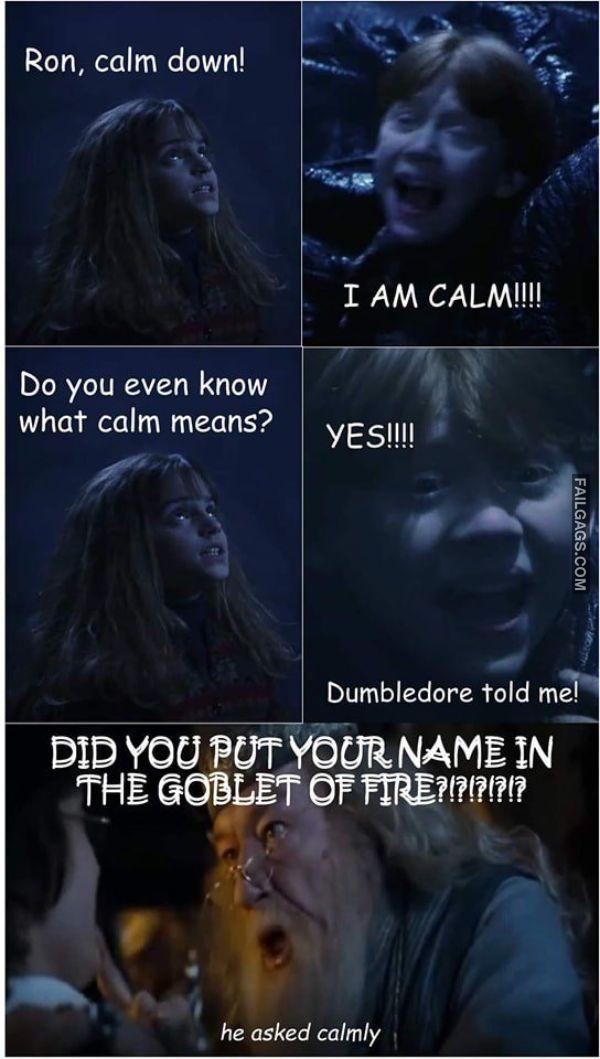 Funny Harry Potter Memes 4