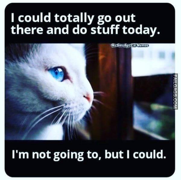 Funny Introvert Memes That Are Totally Relatable 3