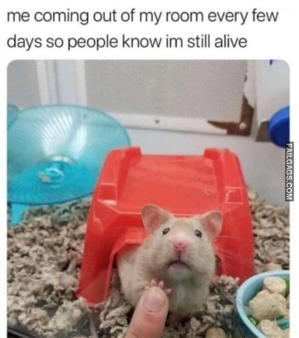 Funny Introvert Memes That Are Totally Relatable 7