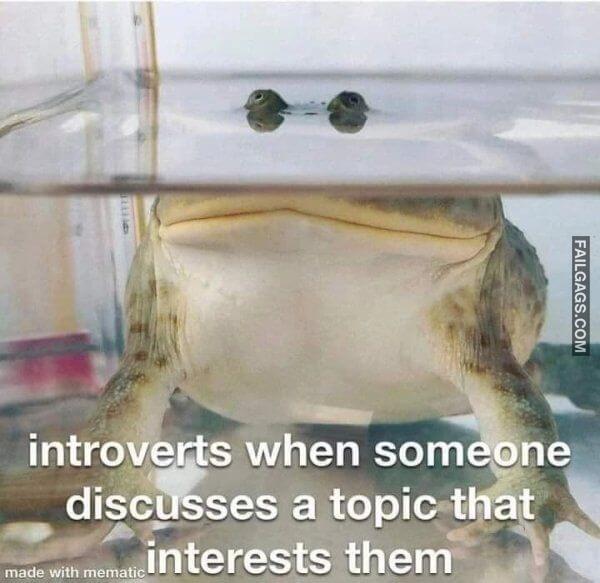 Funny Introvert Memes That Are Totally Relatable 8