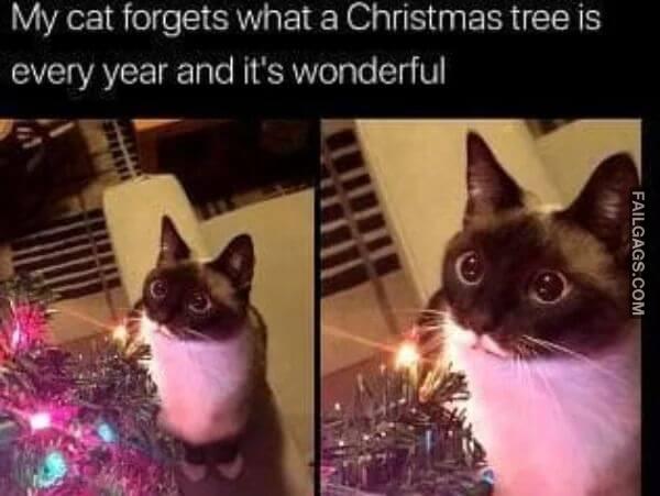 Funny Wholesome Memes 4