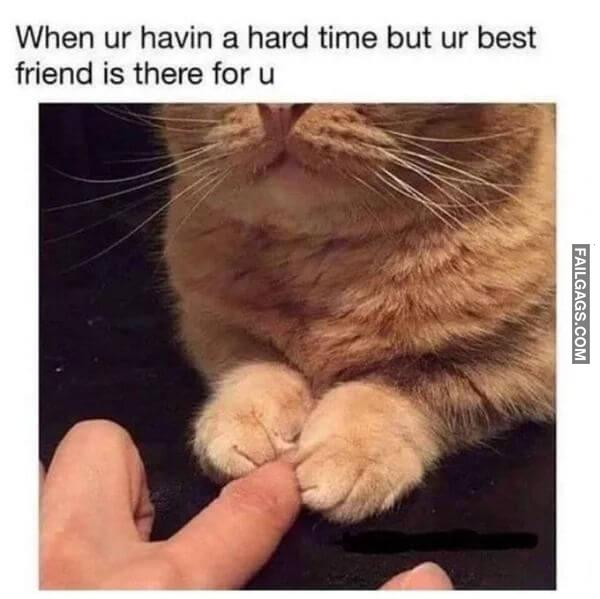Funny Wholesome Memes 5