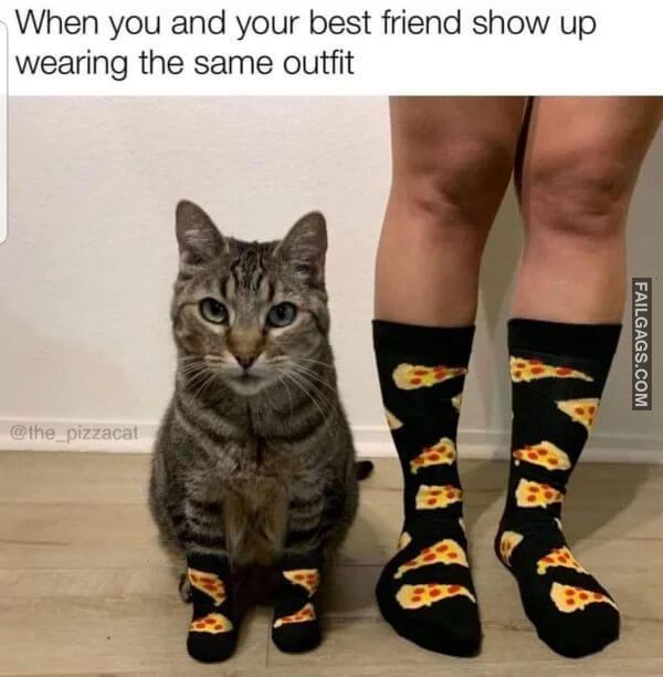 Funny Wholesome Memes 8