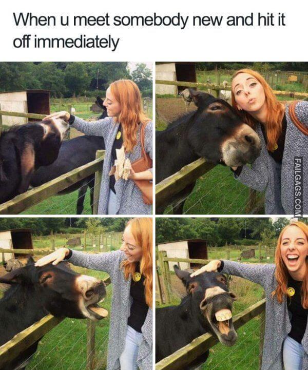 Random Funny Memes 11 1