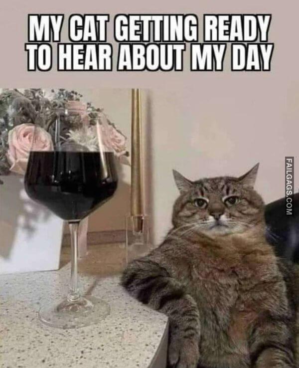 Random Funny Memes 11 2