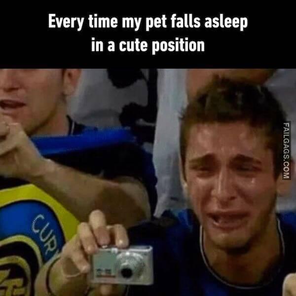 Random Funny Memes 12 2