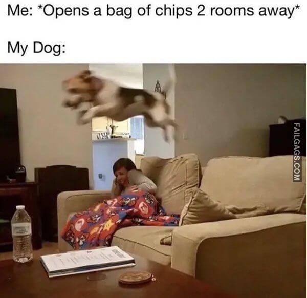 Random Funny Memes 13